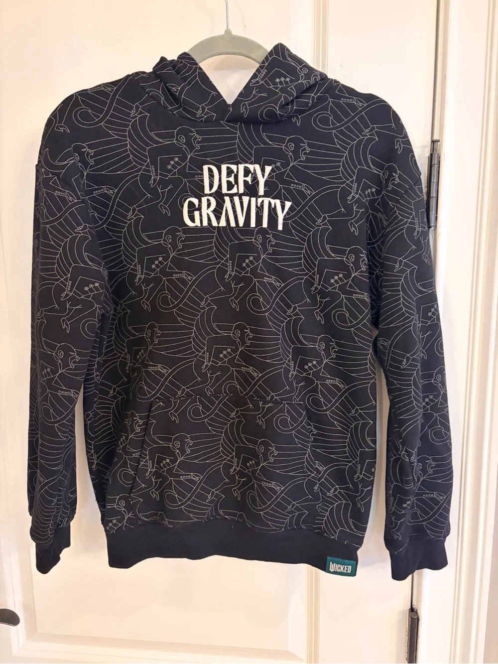 Wicked Defy Gravity Hoodie Paul Tazewell Graphic Pullover youth XL Universal